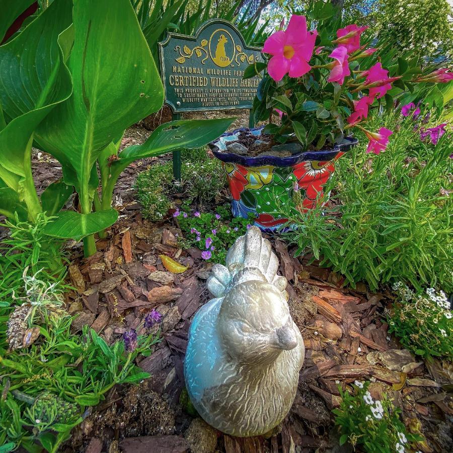 Birdwatch Cottage With River Beach Pass スリー・リバーズ エクステリア 写真